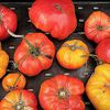 Mouthwateringly Market Fresh: Cooking With Heirloom Tomatoes